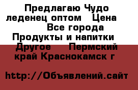 Предлагаю Чудо леденец оптом › Цена ­ 200 - Все города Продукты и напитки » Другое   . Пермский край,Краснокамск г.